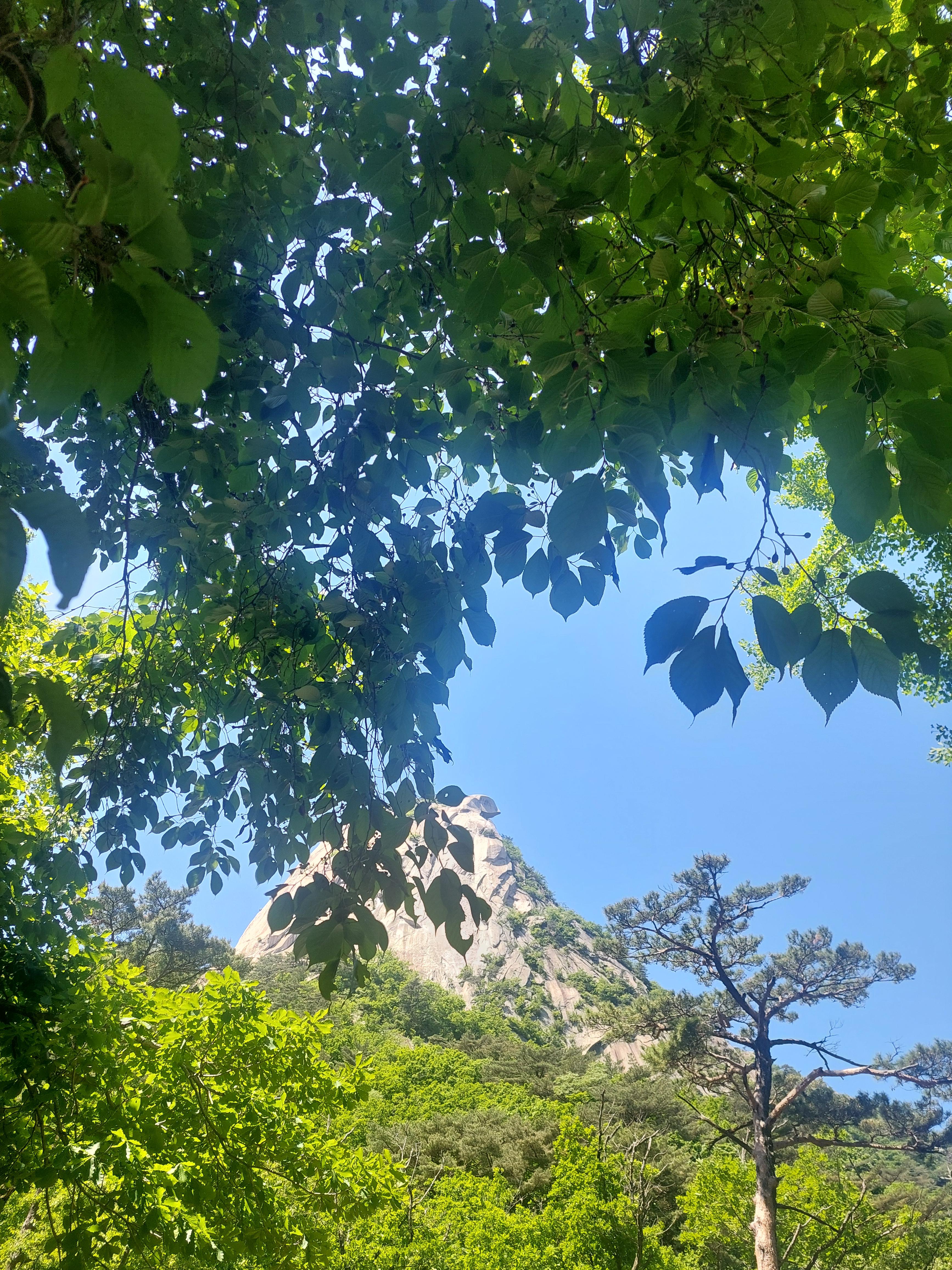 북한산 백운대