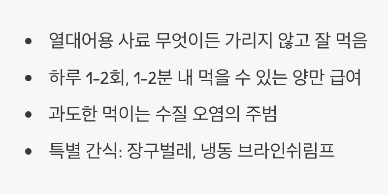 아무거나 잘 먹는 고마운 식성