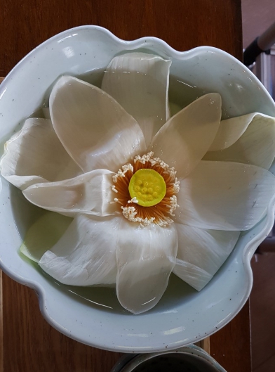 남겨서뭐하게 부여 연잎한상 백련정식 버섯전골 연꽃막걸리 맛집 식당