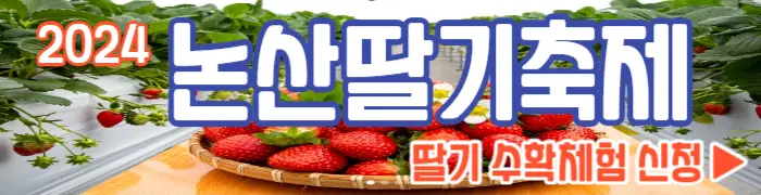 논산딸기축제 딸기 수확체험 농장_2