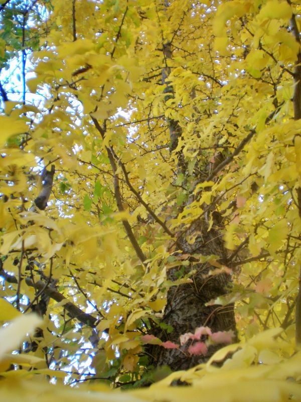 기장군 철마면 이곡마을