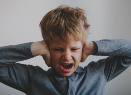 공진단-효능-먹는법-건강