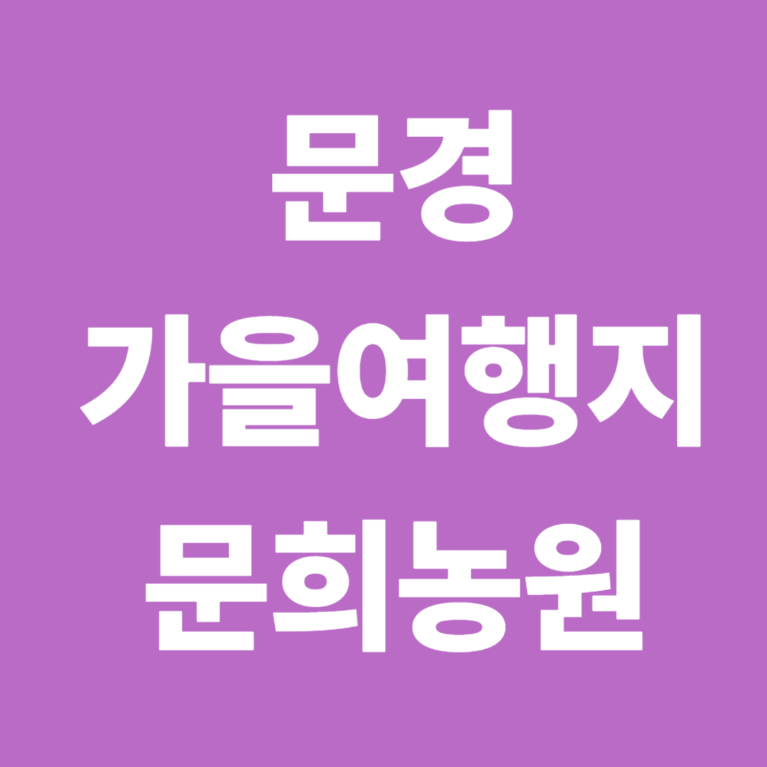 문경 가을여행지 추천|문희농원