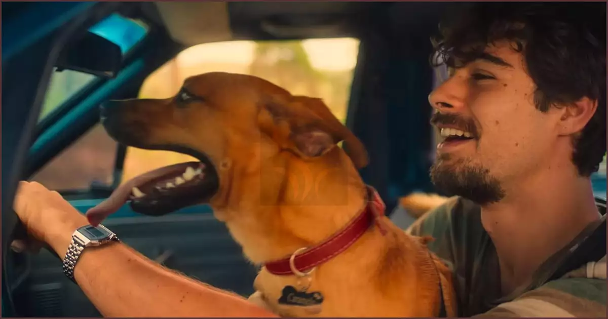 페드루의 트럭 앞좌석에 같이 타고 가는 카라멜루