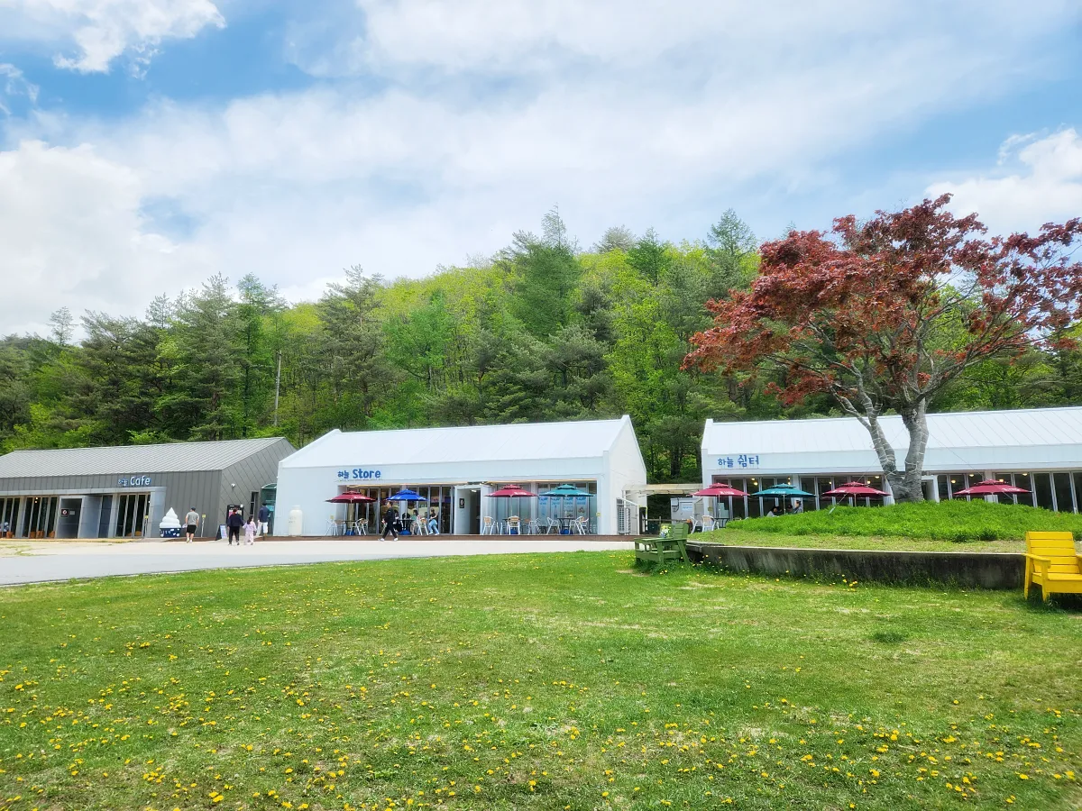 평창-하늘목장-스토어-쉼터-카페