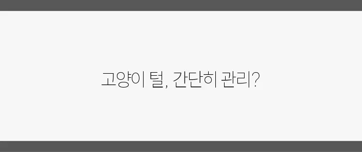 고양이 털 관리의 스마트한 방법: 효과적으로 관리하기!