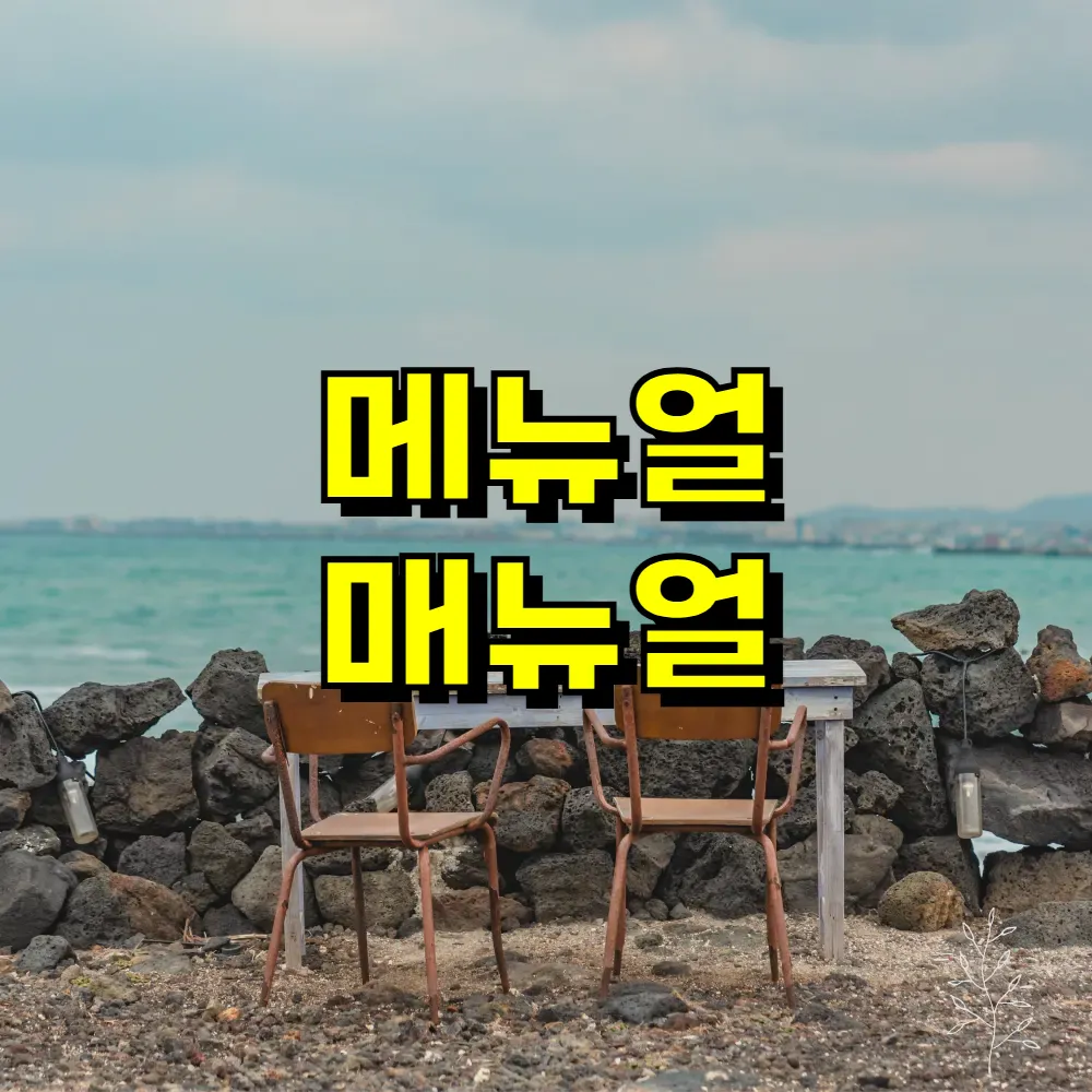 메뉴얼 매뉴얼
