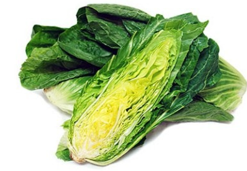 슈가로프(Sugarloaf), 달콤하고 영양 가득한 채소