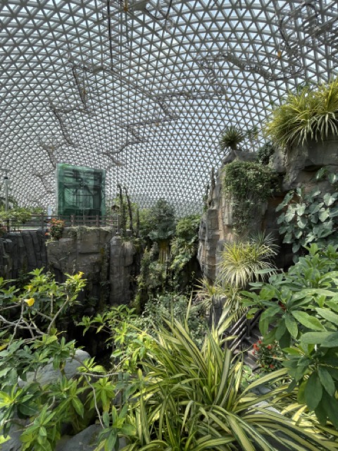 습하디-습한-여름날씨-같았던-거제식물원-내부