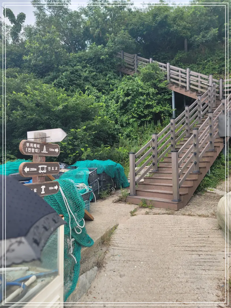 소무의도-둘레길20250714_115507