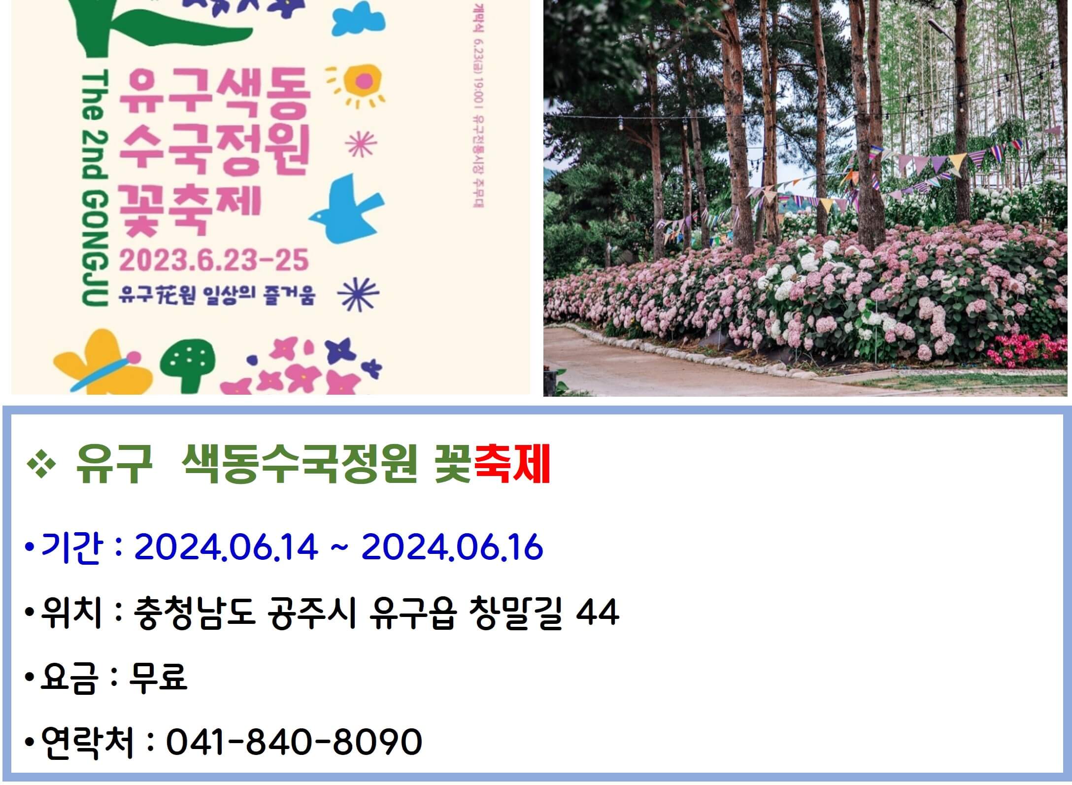 유구 색동수국정원 꽃축제