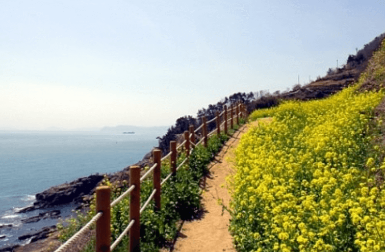 남해다랭이마을