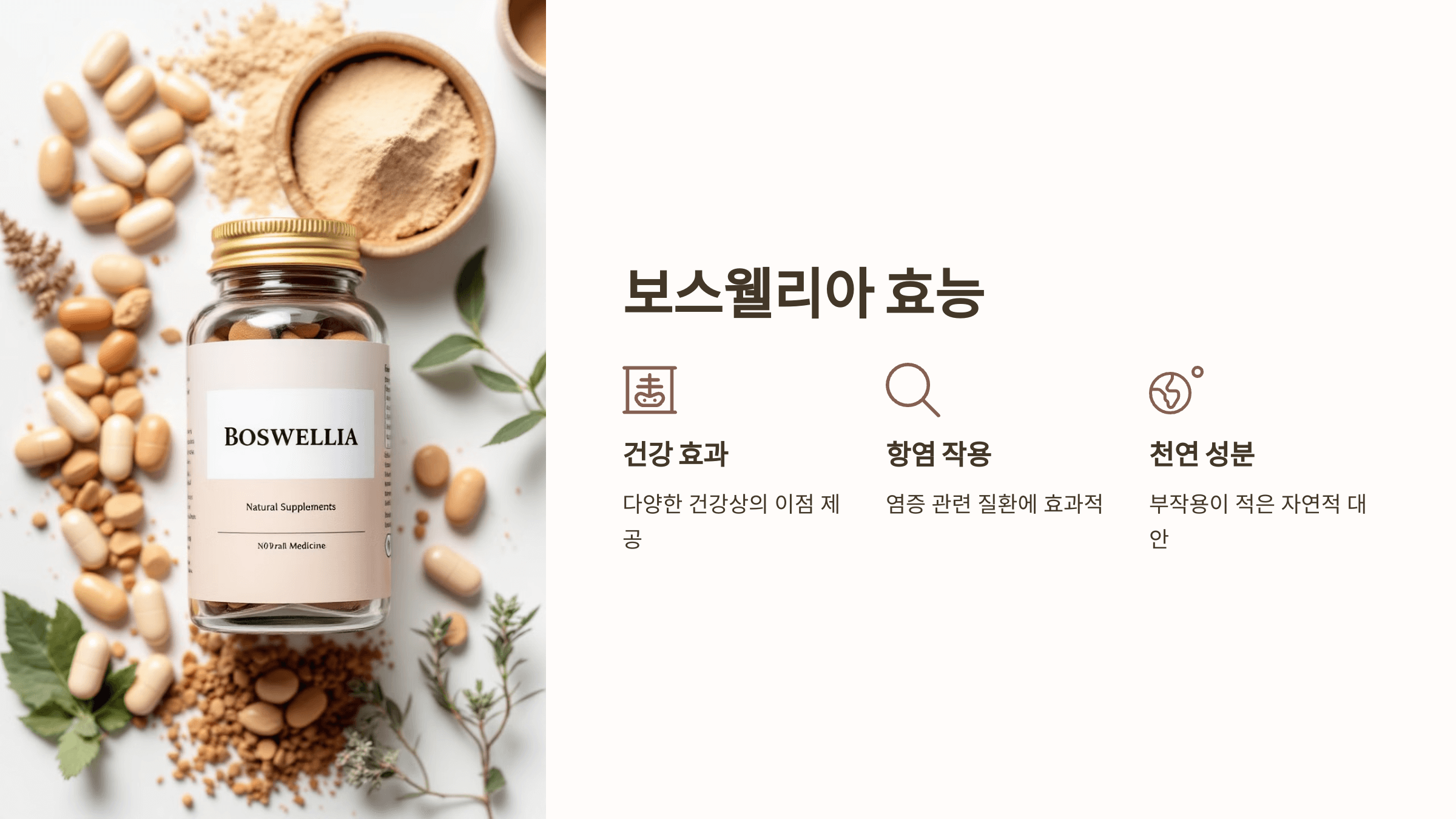 보스웰리아와 관련된 사진입니다.