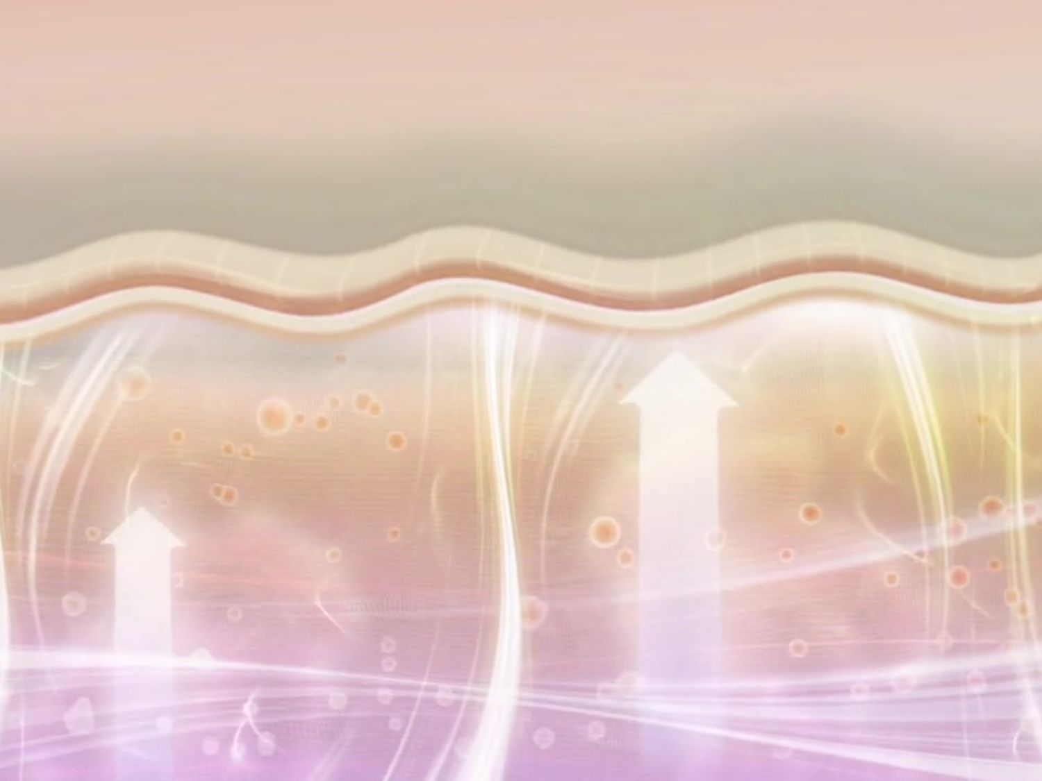 안면거상술 원리