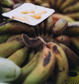 역류성식도염에 좋은 음식 영양제 식단