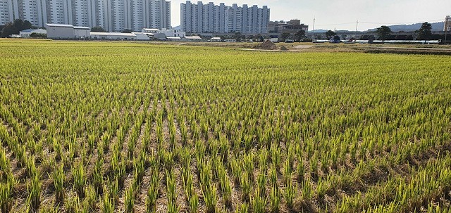나도 모르는 나의 조상땅 무료찾기와 신청 방법