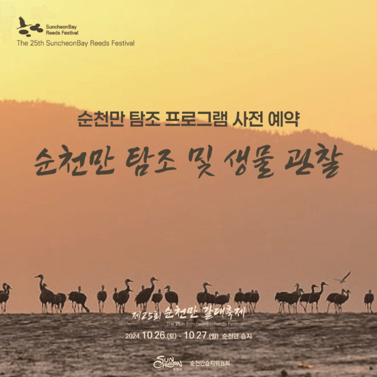 순천만 탐조