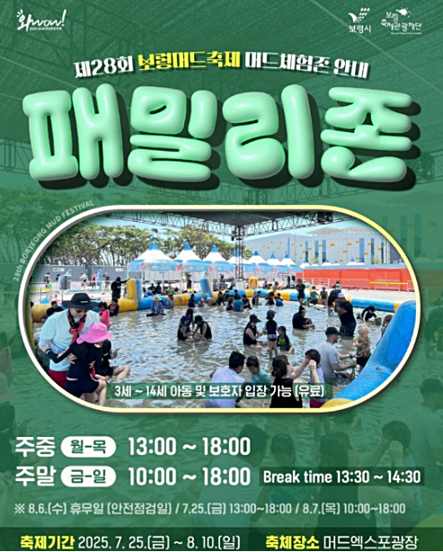 2025 보령머드축제 관련 이미지4