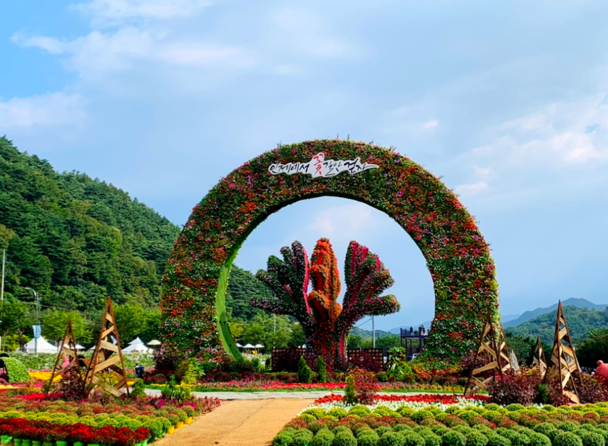 인제 가을꽃축제
