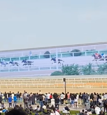 커플 사진 촬영 포토존