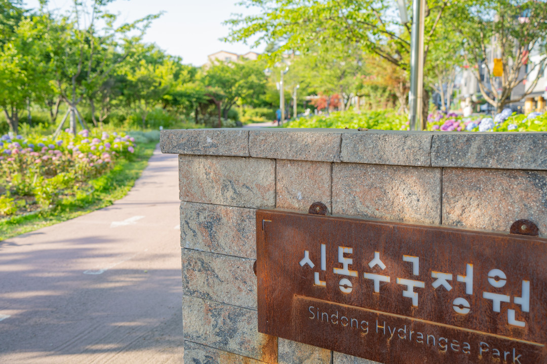 신동 수변공원 수국정원