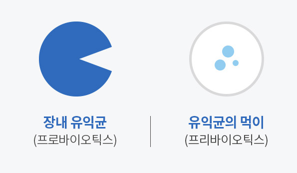 프리바이오틱스가 체중 관리에 미치는 영향과 활용법, 프리바이오틱스 추천!