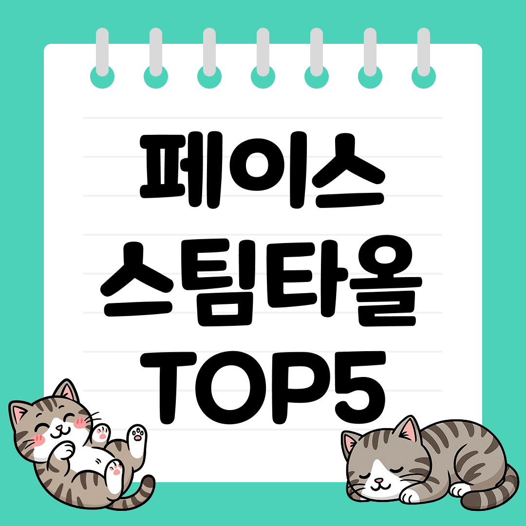 25년 9월 2주차 페이스 스팀타올 추천 순위 TOP5