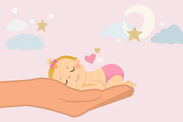 복지로 산후도우미 신청방법