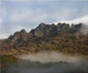 내장산 케이블카 요금 및 예약방법