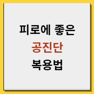공진단 복용법