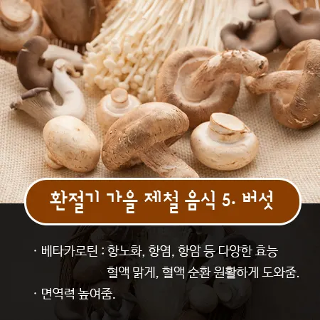 환절기 가을 건강 관리법