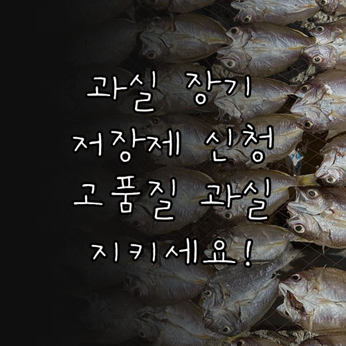 2025 경상남도 과실 장기저장제, ..