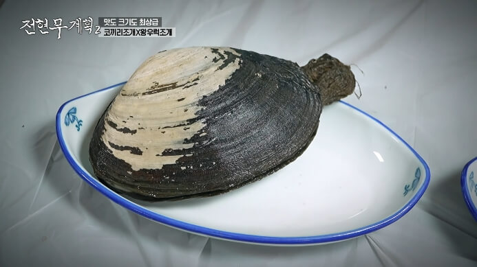 왕우럭조개