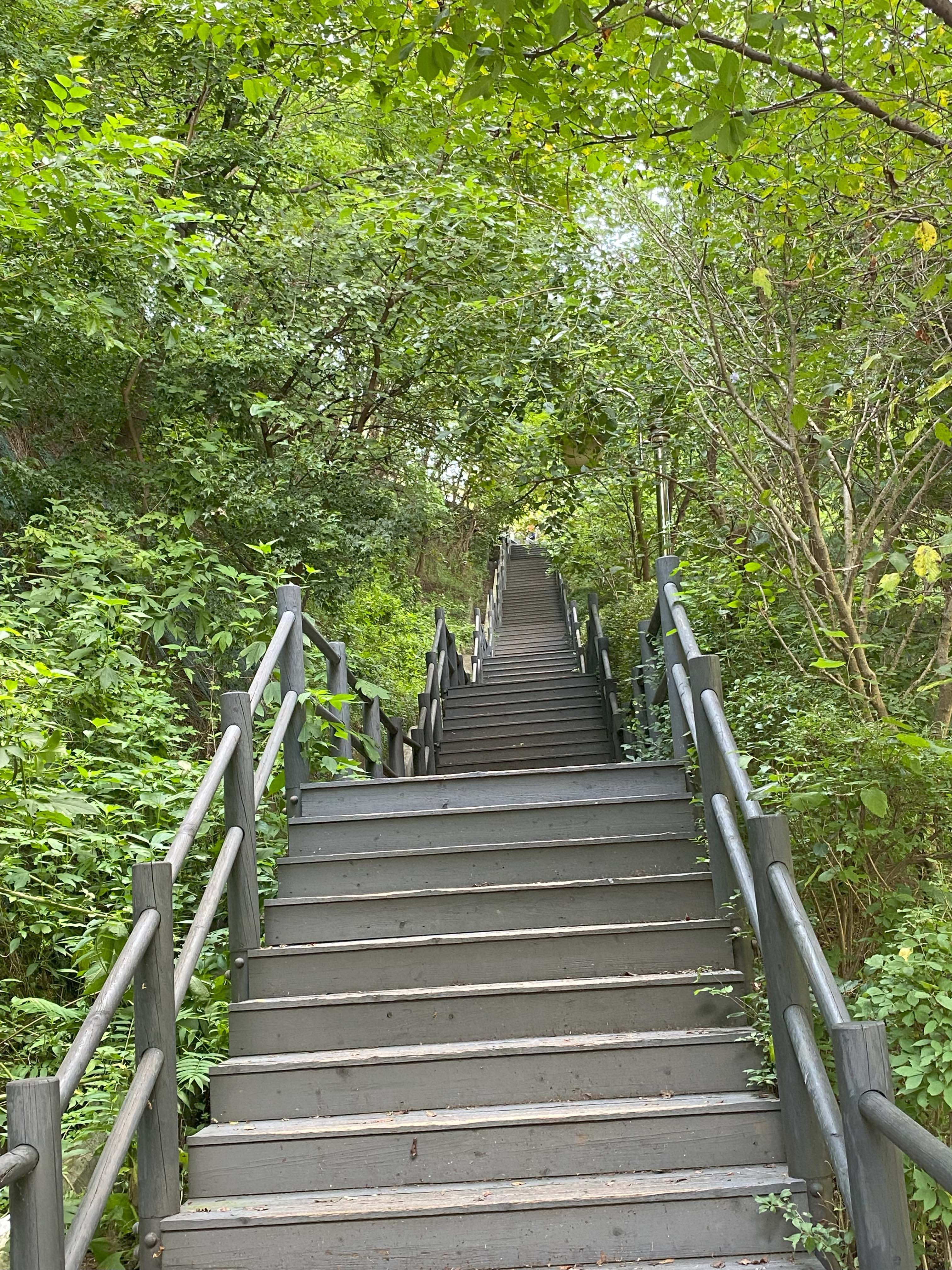 Alt 속성 문제 해결 설명 이미지