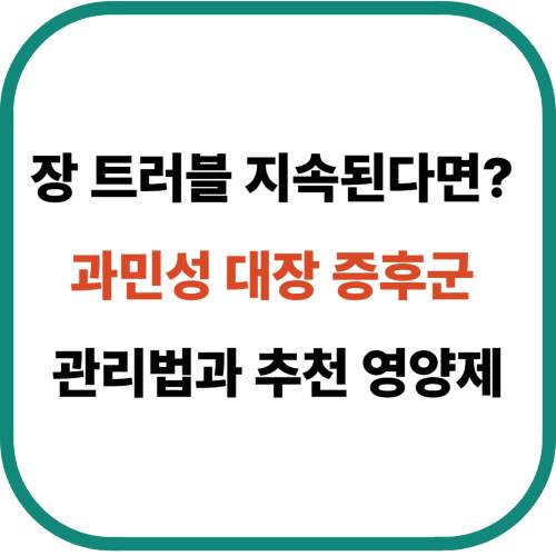 장 트러블 지속된다면? 과민성 대장 증후군 관리법과 추천 영양제
