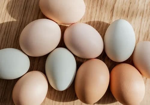 신장에 좋은 음식 달걀흰자