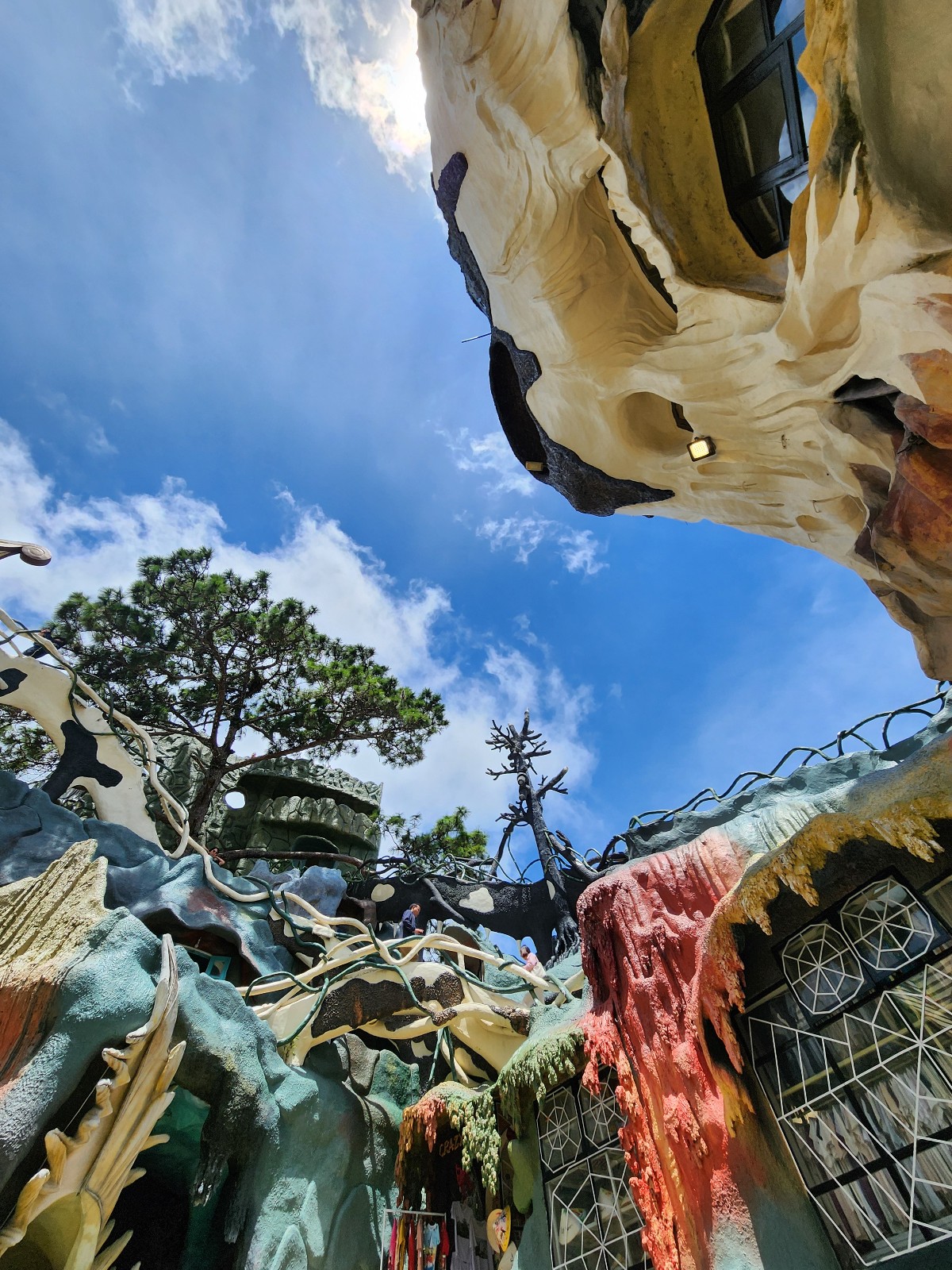 크레이지 하우스