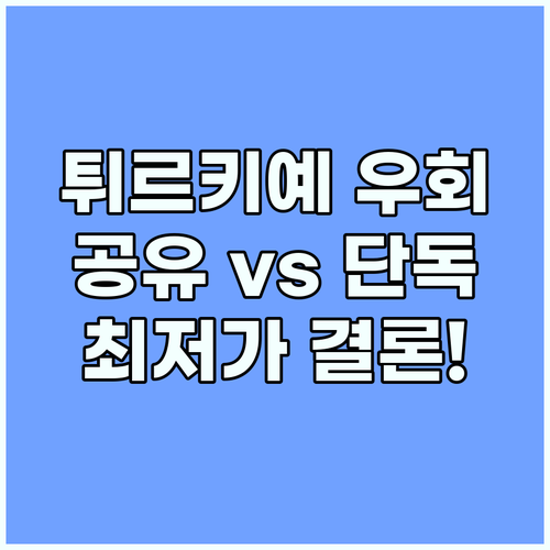 유튜브 프리미엄 할인 튀르키예 우회 ..
