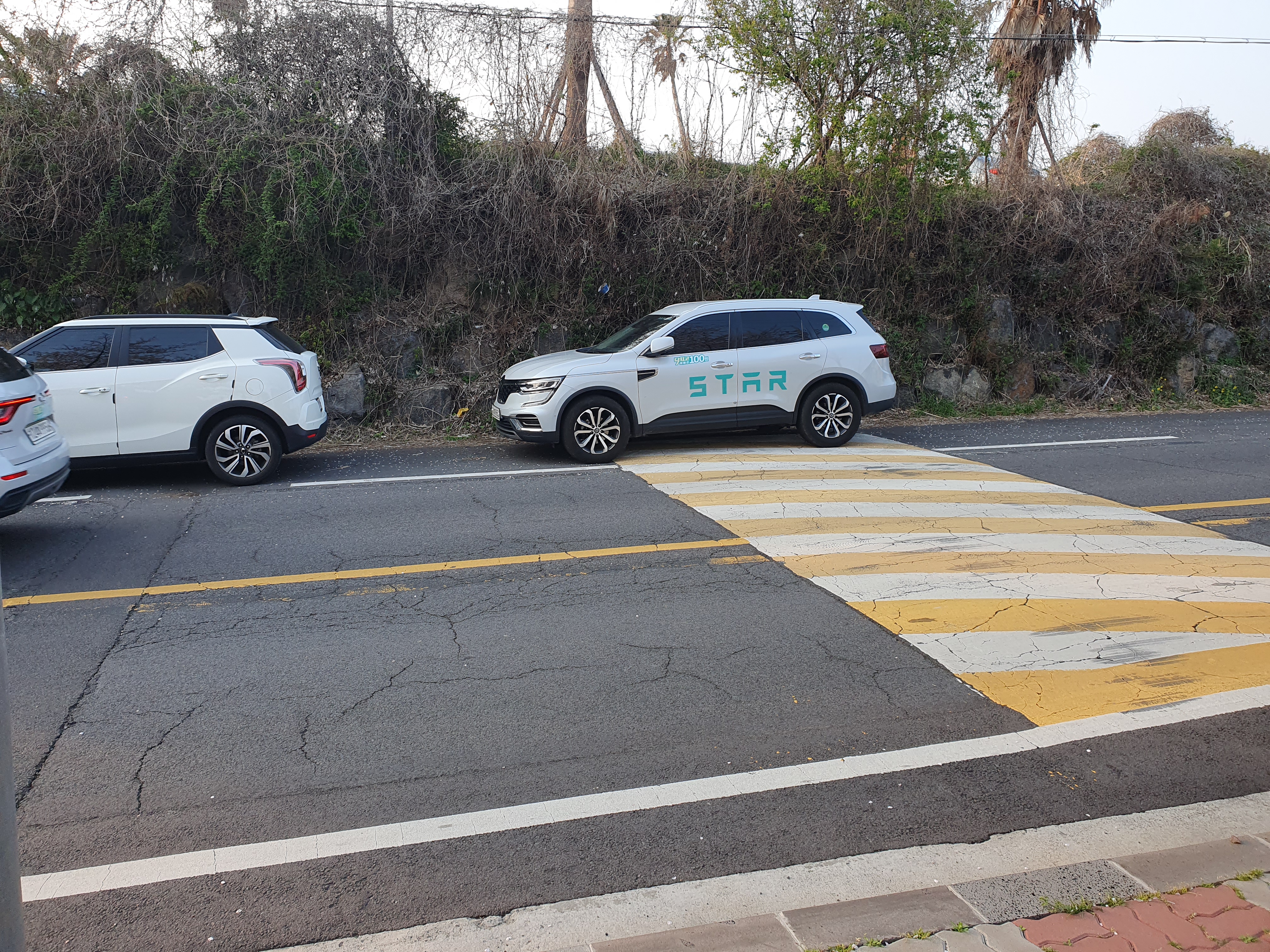 제주 호텔 더본 입구 길가에 주차 가능함!