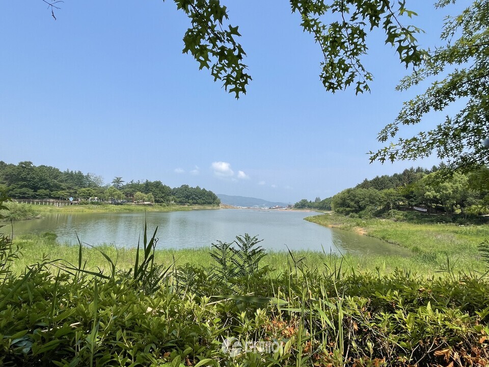 충주 호암지