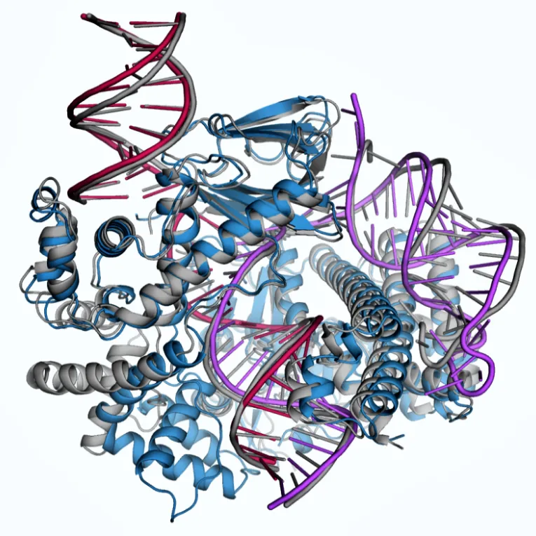 알파 폴드를 적용한 단백질 구조 예시