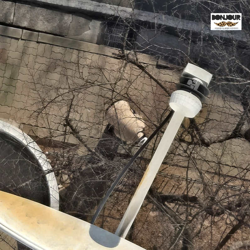 17개월에 첫 외출 걸음마 연습을 시작한 아기