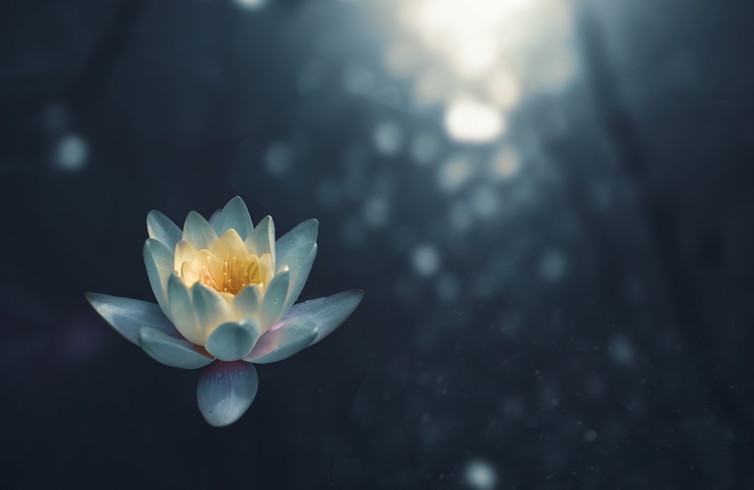Meditation.