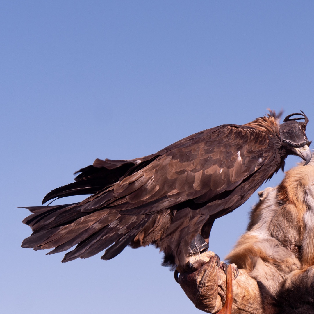 2024 청년월세 한시 특별지원 지원대상자