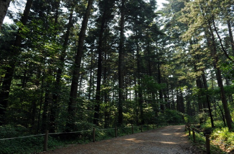 포천 광릉수목원! 숨겨진 힐링 명소&amp;#44; 포천 광릉수목원 완전 정복