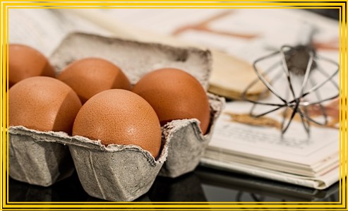 이유식 재료별 시작 시기