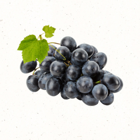 9월 제철 과일 포도