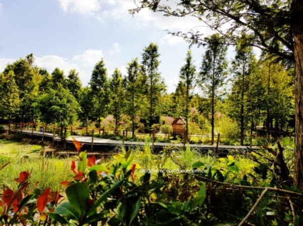 청산수목원 캠핑장 사진