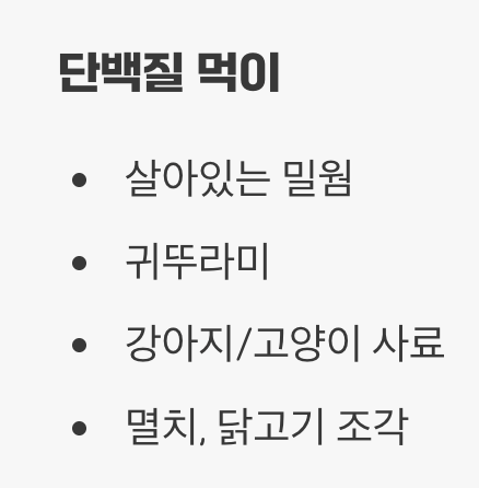 최고의 만찬, 특식과 간식 준비하기