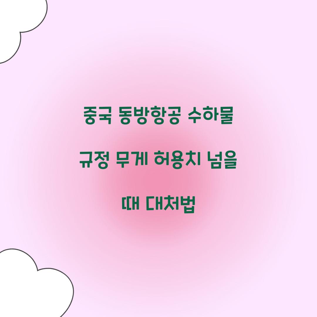 중국 동방항공 수하물 규정 무게 허용치 넘을 때 대처법 